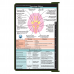 WhiteCoat Clipboard® - Army Green Neurology Edition